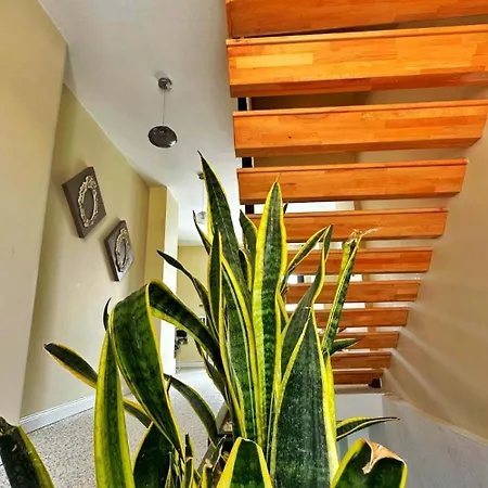 Hostal Wind Alasata Çeşme